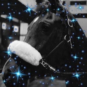 Meet your Posher, Nikoleta